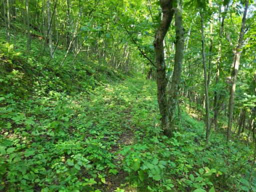 0 Walsky, Galesville, WI 54630