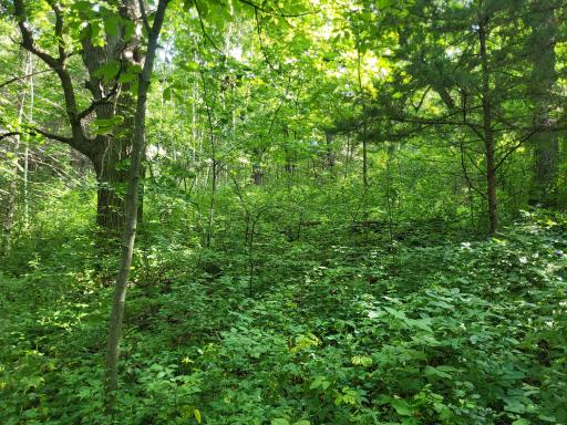 0 Walsky, Galesville, WI 54630