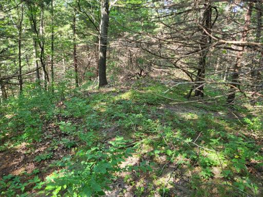 0 Walsky, Galesville, WI 54630