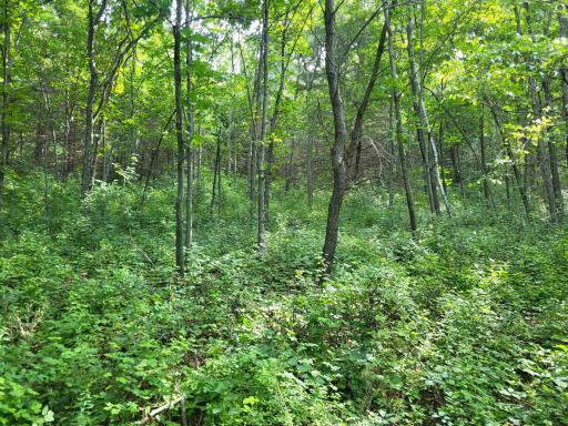 0 Walsky, Galesville, WI 54630