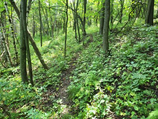 0 Walsky, Galesville, WI 54630