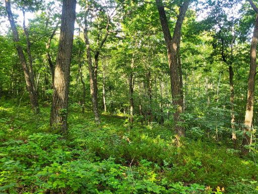 0 Walsky, Galesville, WI 54630