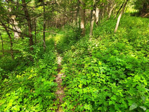 0 Walsky, Galesville, WI 54630
