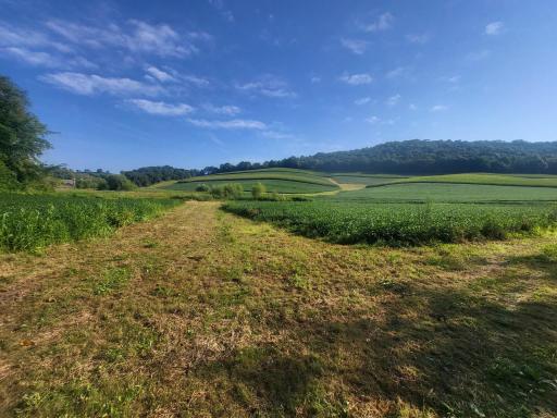0 Walsky, Galesville, WI 54630