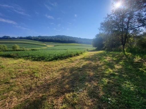 0 Walsky, Galesville, WI 54630