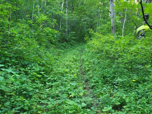 0 Walsky, Galesville, WI 54630