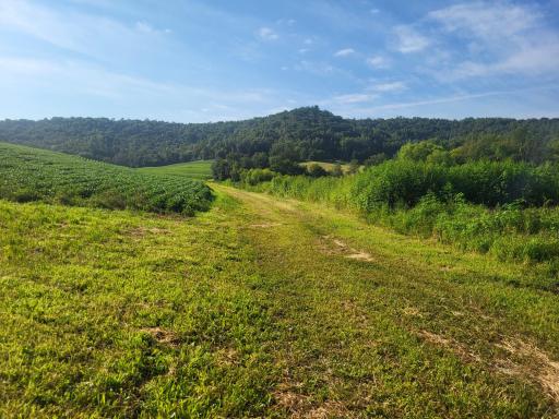 0 Walsky, Galesville, WI 54630