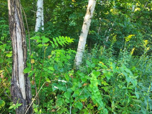0 Walsky, Galesville, WI 54630