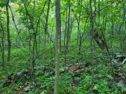 0 Walsky, Galesville, WI 54630