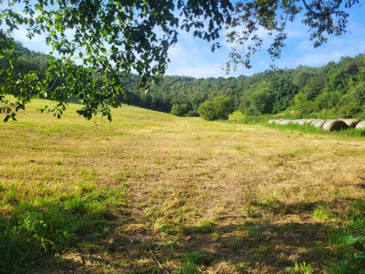 0 Walsky, Galesville, WI 54630