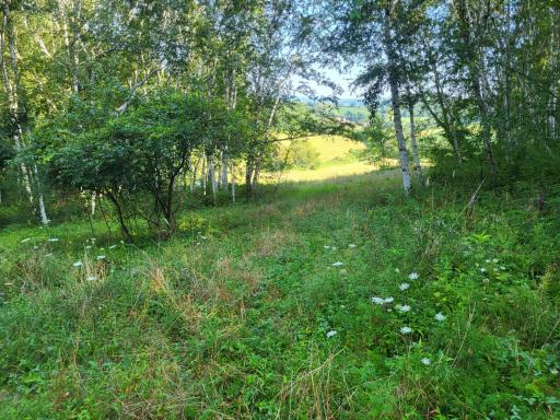 0 Walsky, Galesville, WI 54630