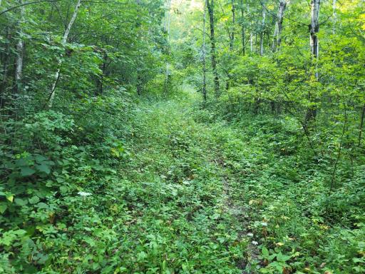 0 Walsky, Galesville, WI 54630