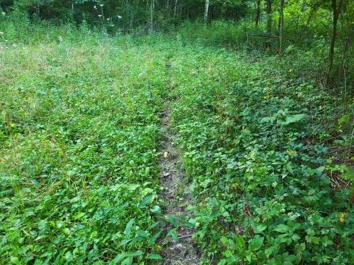 0 Walsky, Galesville, WI 54630