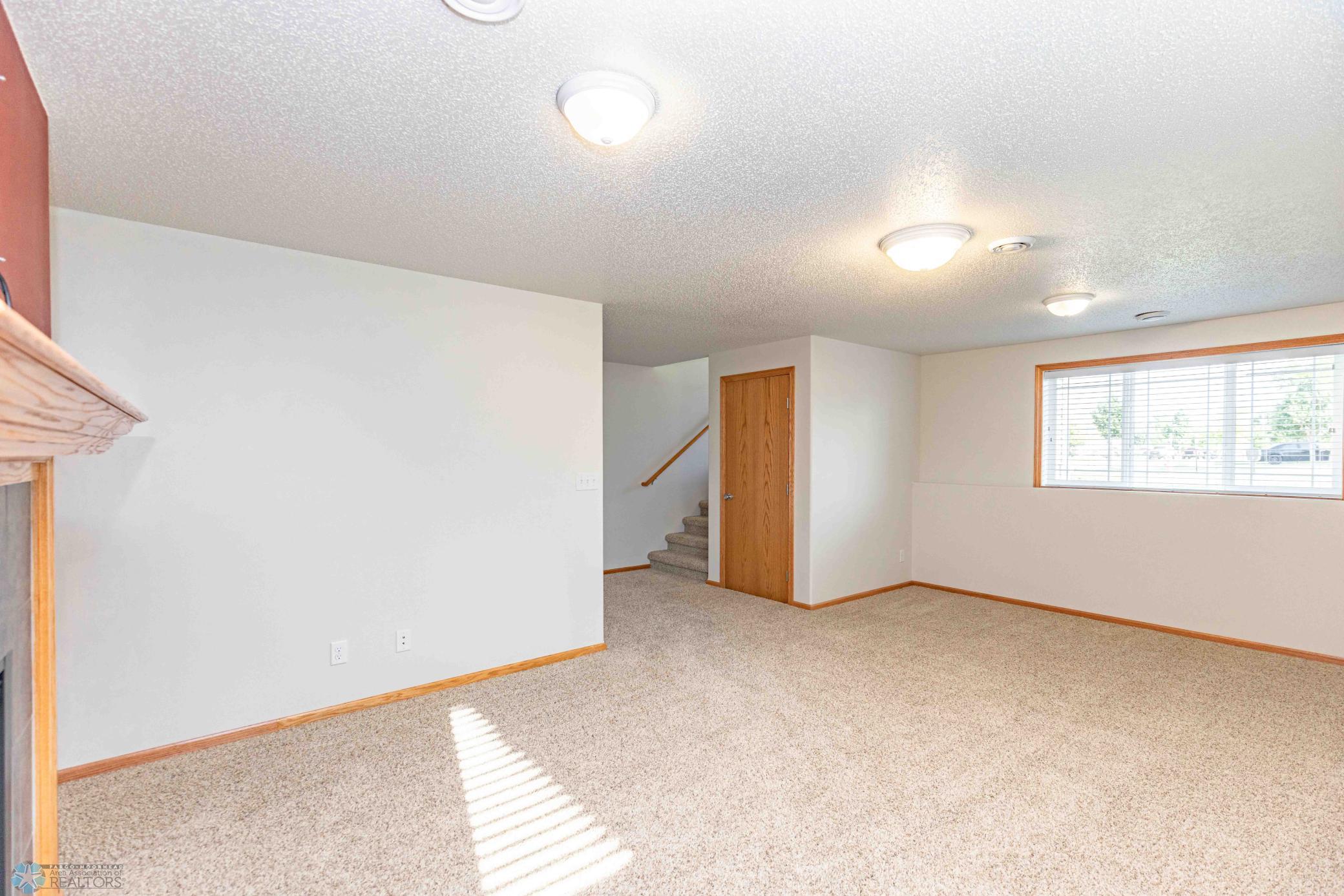 Lower Level Family Room