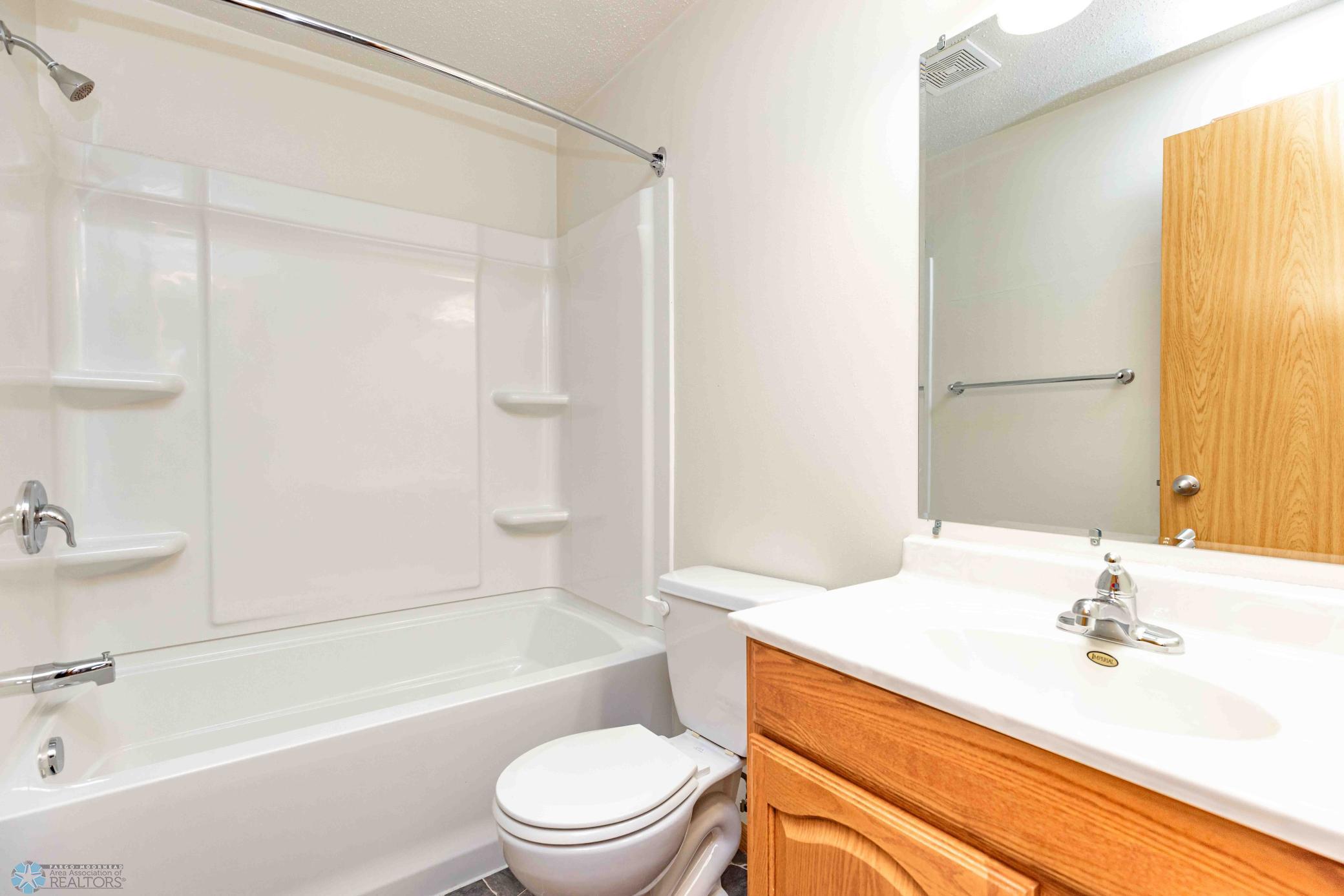 Lower Level Bathroom