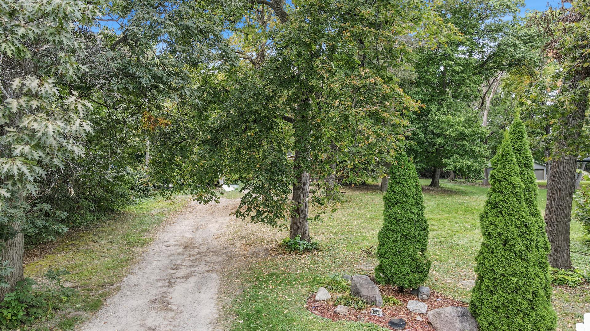 Photo 41