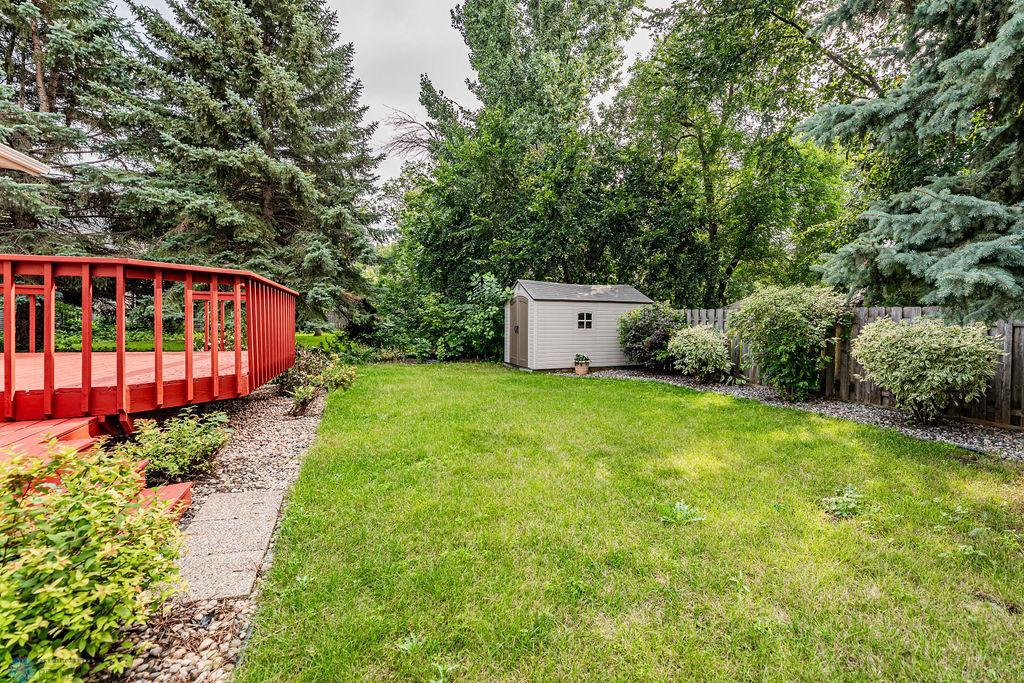 Great Backyard