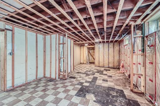 45 Lakeview Ave - Web Quality - 006 - 07 Lower Level Basement.jpg