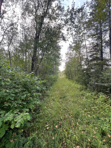 Trail / Road on North and East side of property