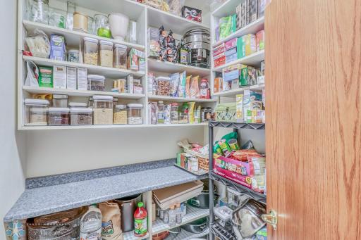 Walk-in pantry. Lots of shelving and storage!