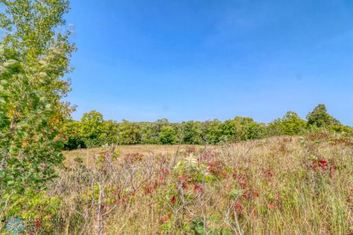 Land - cleared; East Twin Lake just beyond trees