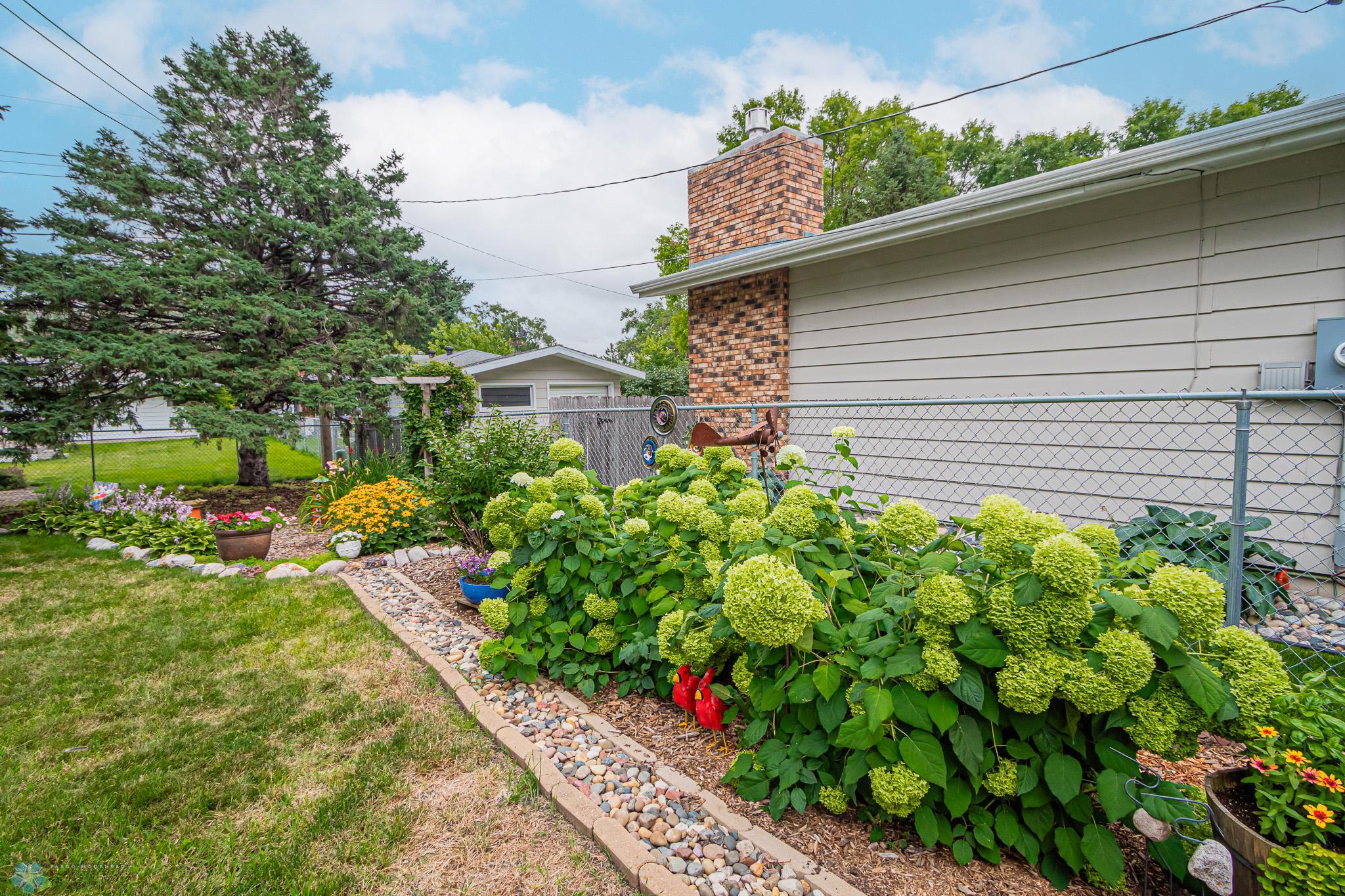 beautiful perennials