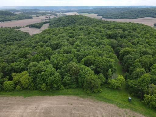 W9336 Mercer Lane, Pepin, WI 54759