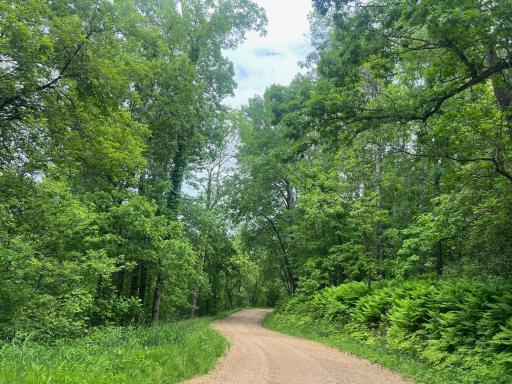 W9336 Mercer Lane, Pepin, WI 54759