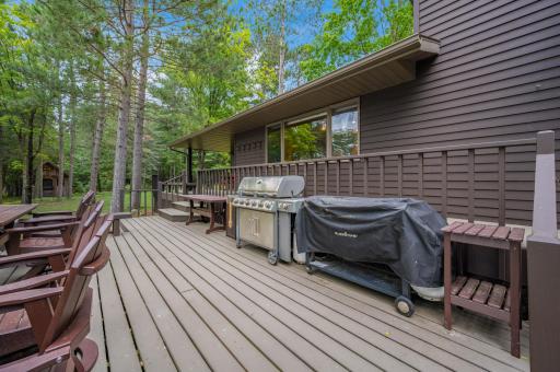 51615 Timber Trail, Bigfork, MN 56628
