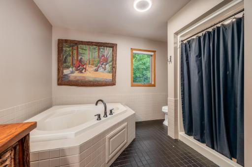 51615 Timber Trail, Bigfork, MN 56628