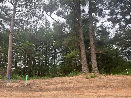 Lot 2 Blk 2 Ridgewood Drive, Randall, MN 56475