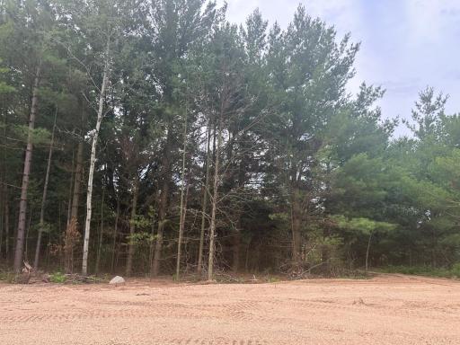 Lot 3 Blk 2 Ridgewood Drive, Randall, MN 56475