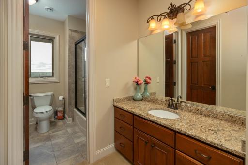 1293 Fox Grove Place SW, Rochester, MN 55902