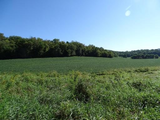 000 County Road N, Pepin, WI 54759