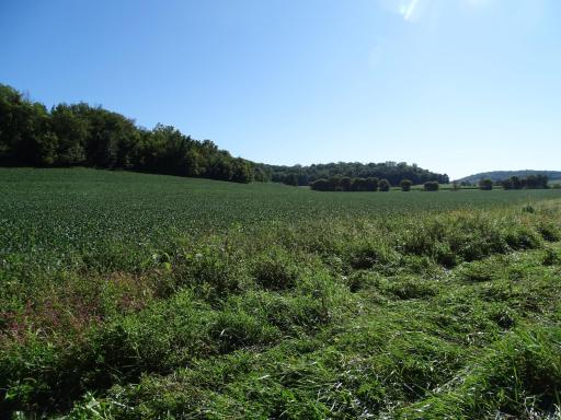 000 County Road N, Pepin, WI 54759