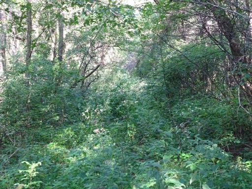 000 County Road N, Pepin, WI 54759