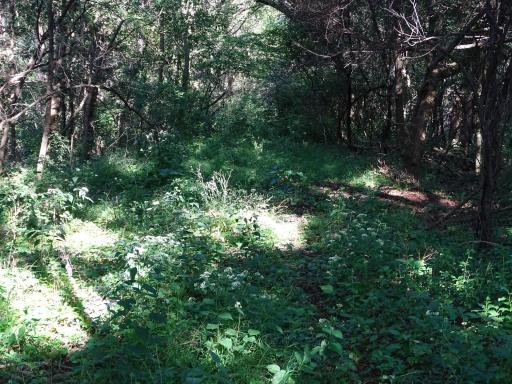 000 County Road N, Pepin, WI 54759