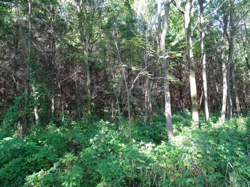 000 County Road N, Pepin, WI 54759