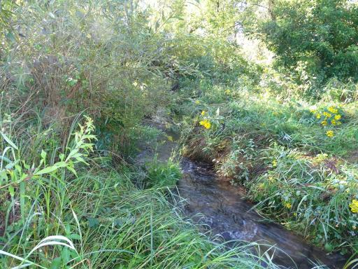 000 County Road N, Pepin, WI 54759