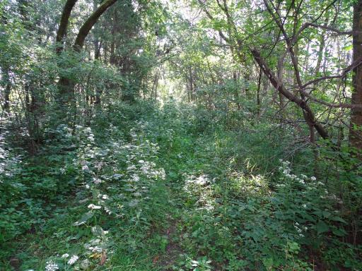 000 County Road N, Pepin, WI 54759
