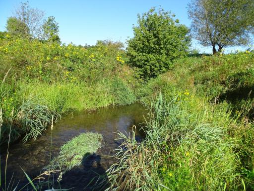 000 County Road N, Pepin, WI 54759