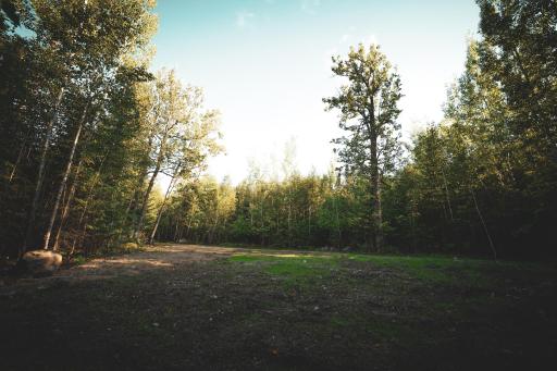 TBD Parcel A Apex Drive, Cook, MN 55723