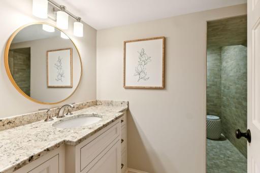 Lower Level Bath