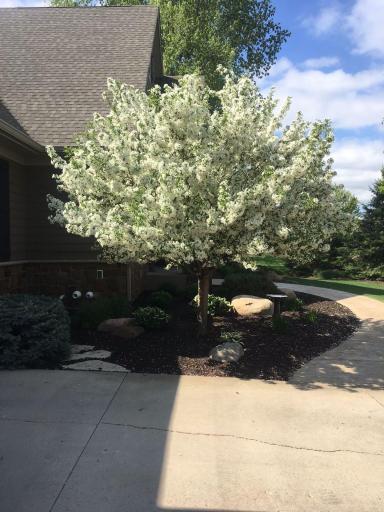 3374 Pete Miller Lane, Stillwater, MN 55082