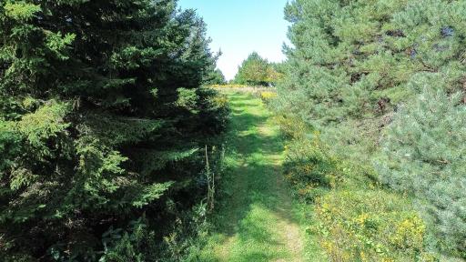 N8447 805th Street, River Falls, WI 54022