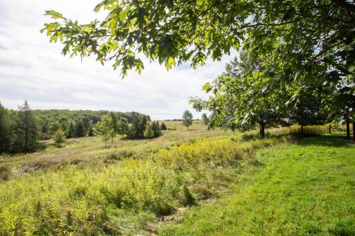 N8447 805th Street, River Falls, WI 54022