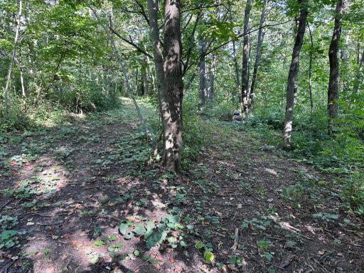 Photo for TBD 218th Street, Lanesboro, MN 55949 - Listing #6595921 TBD 218th Street, Lanesboro, MN 55949