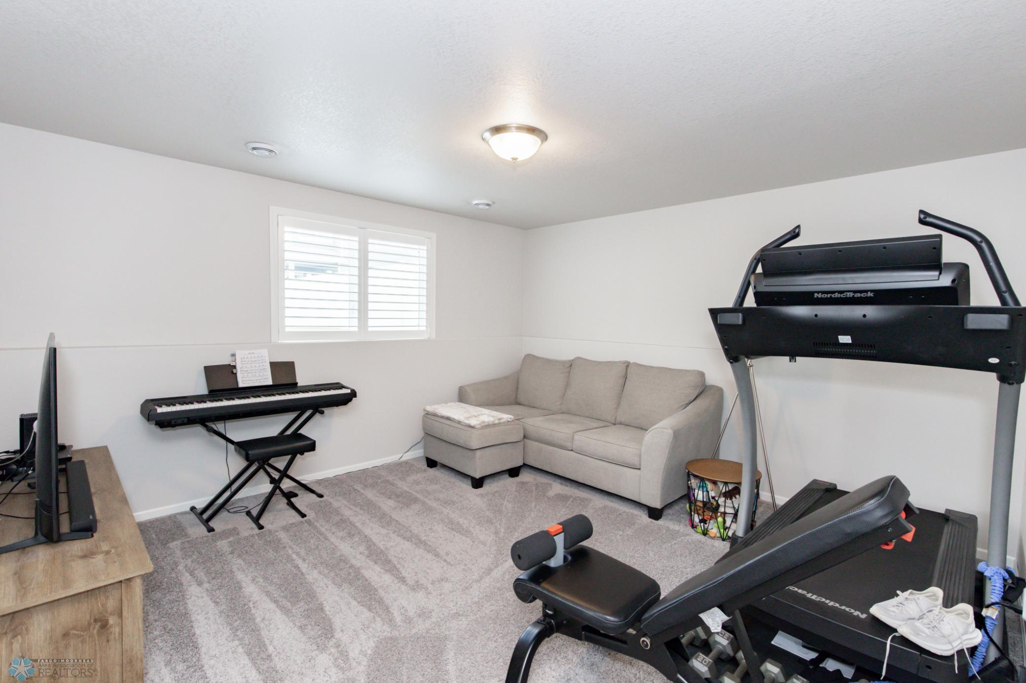 Lower level Family room