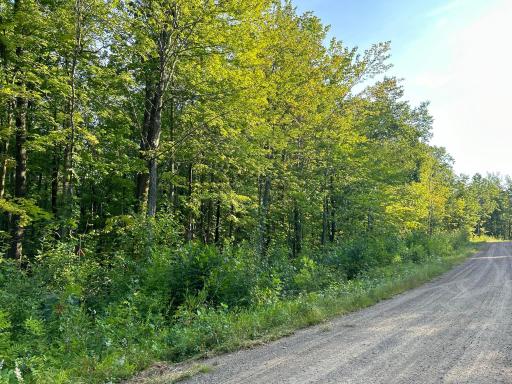 XXX 348th Avenue, Isle, MN 56342