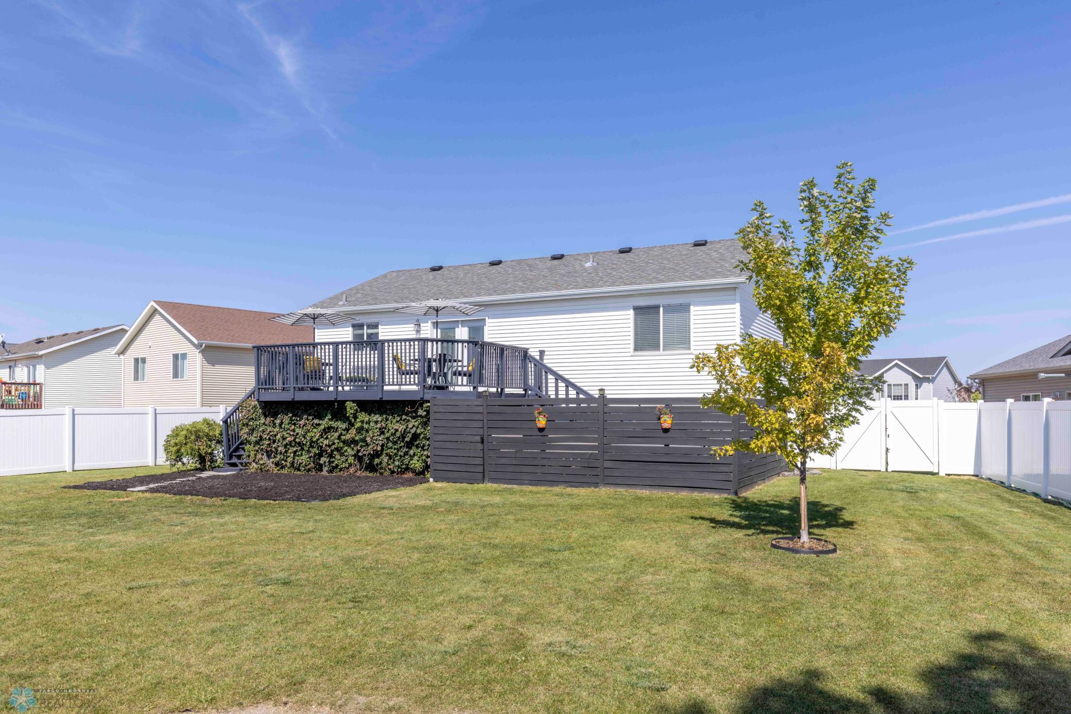 EXTERIOR BACKYARD